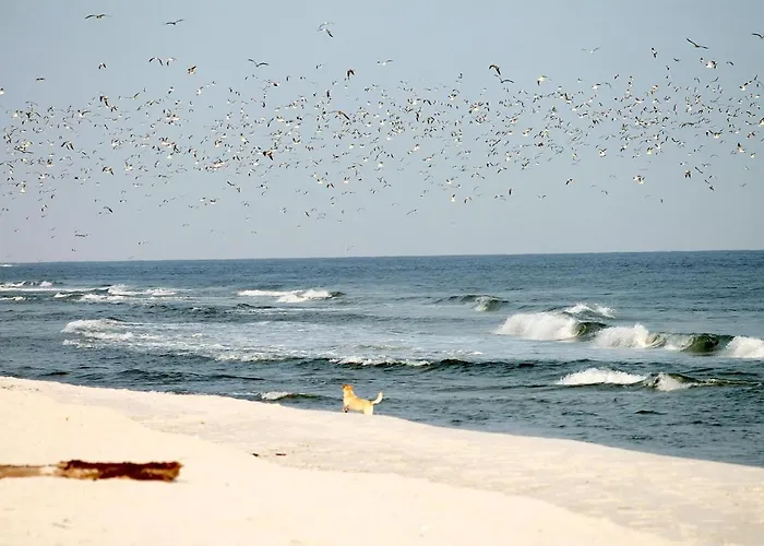 Lägenhet Gilde-residenz App. 1 *